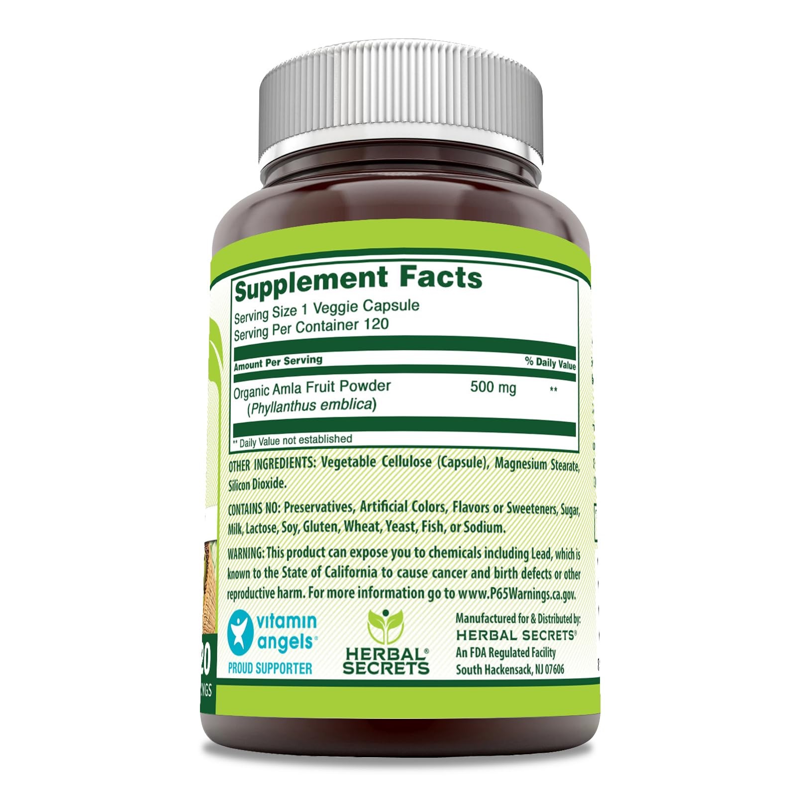 Herbal Secrets Amla Supplement | 500 Mg Per Serving | 120 1 Count (Pack of 1)