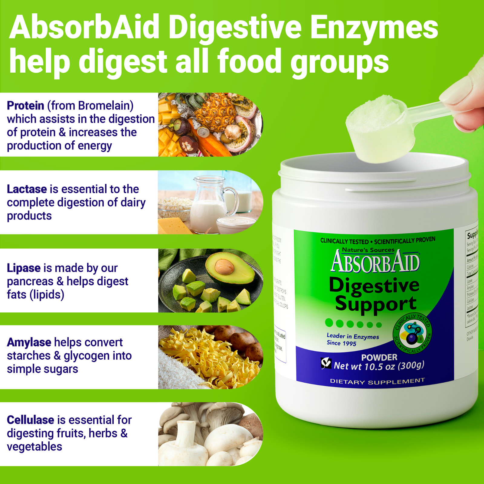 AbsorbAid 300g Powder -Natural Digestive Enzymes for gas, bloating & acid reflux