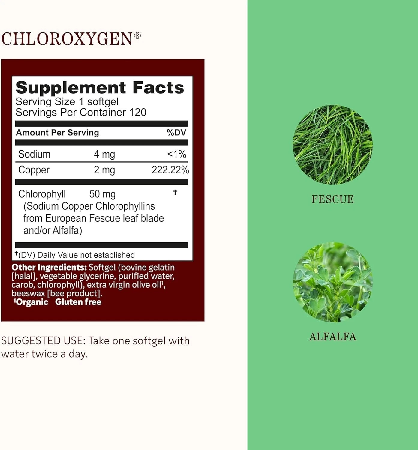 ChlorOxygen Chlorophyll Softgels – High-Potency Detox & Skin Support, 240 Count