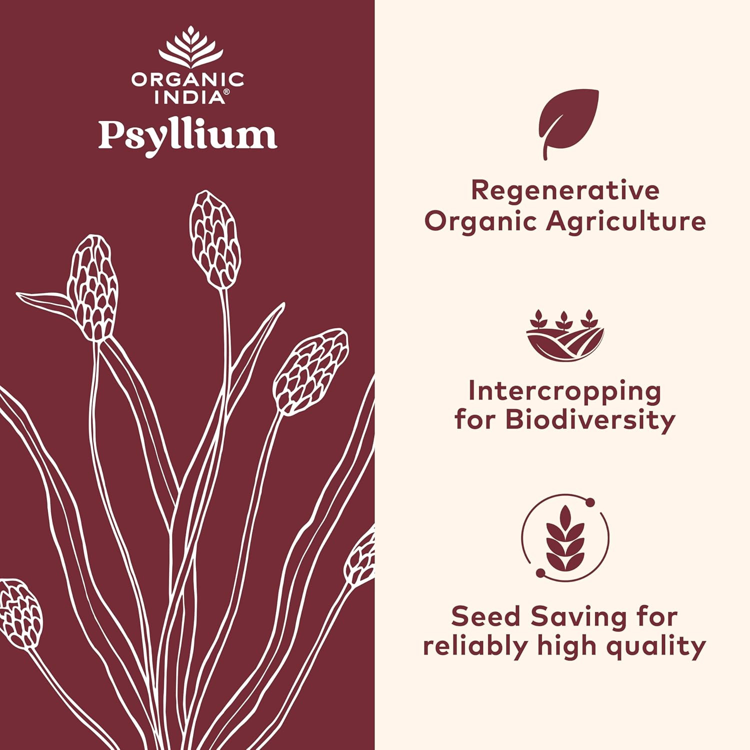 ORGANIC INDIA Psyllium Husk Capsules – Fiber Supplement, Healthy Elimination – V