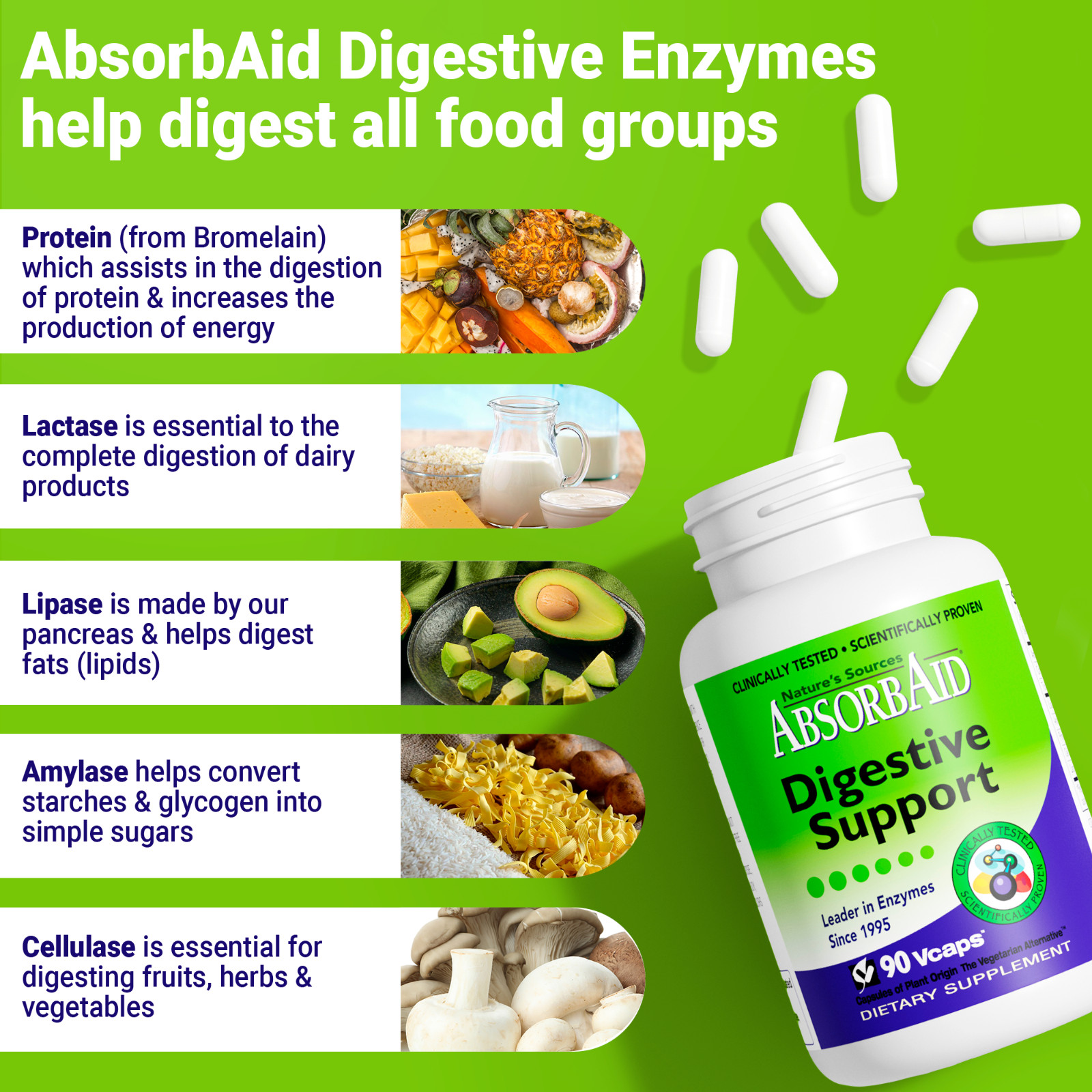 Absorbaid Natural Digestive Enzyme-relief for gas, bloating, acid reflux-90 caps