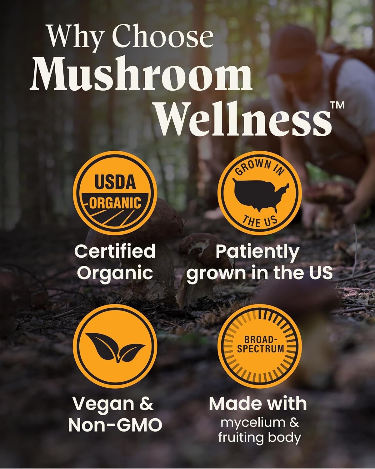 Organic Lion’s Mane & Reishi Capsules – 90 Capsules for Mental Clarity