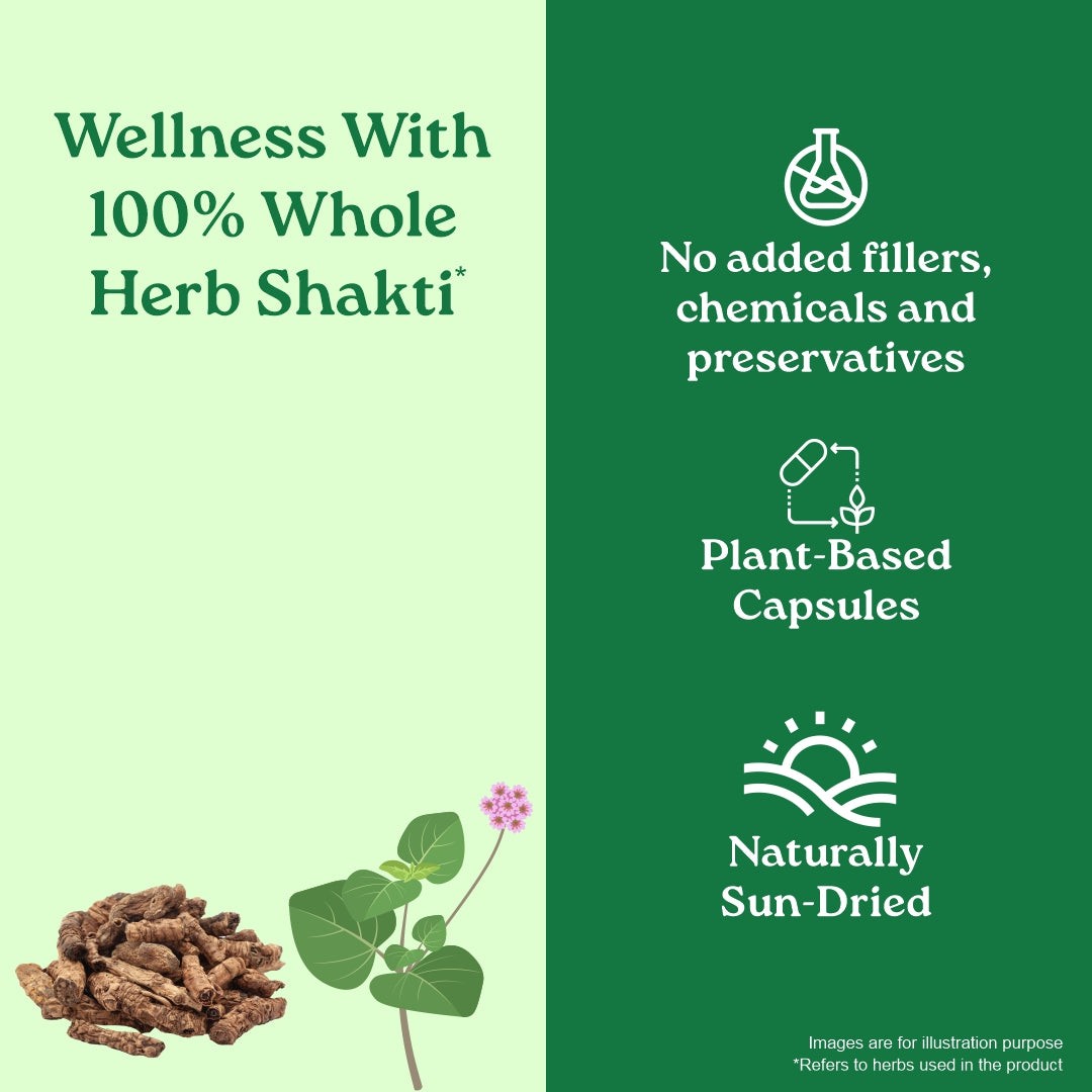 Organic India Liver Kidney Care | Herbal Detox & Daily Wellness Supplement | 60g