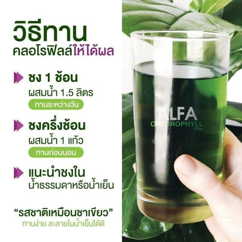 4x Real Elixir Alfa Chlorophyll Plus 100% Natural Vitamins Supplement Fiber Rich