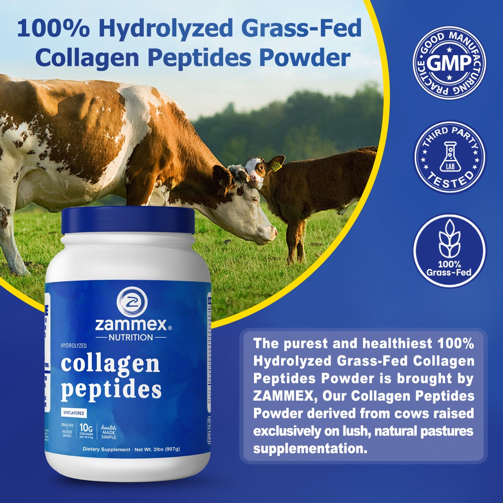 Collagen Peptides Powder Hydrolyzed Protein Unflavored Supplement 2lb-Type 1&3