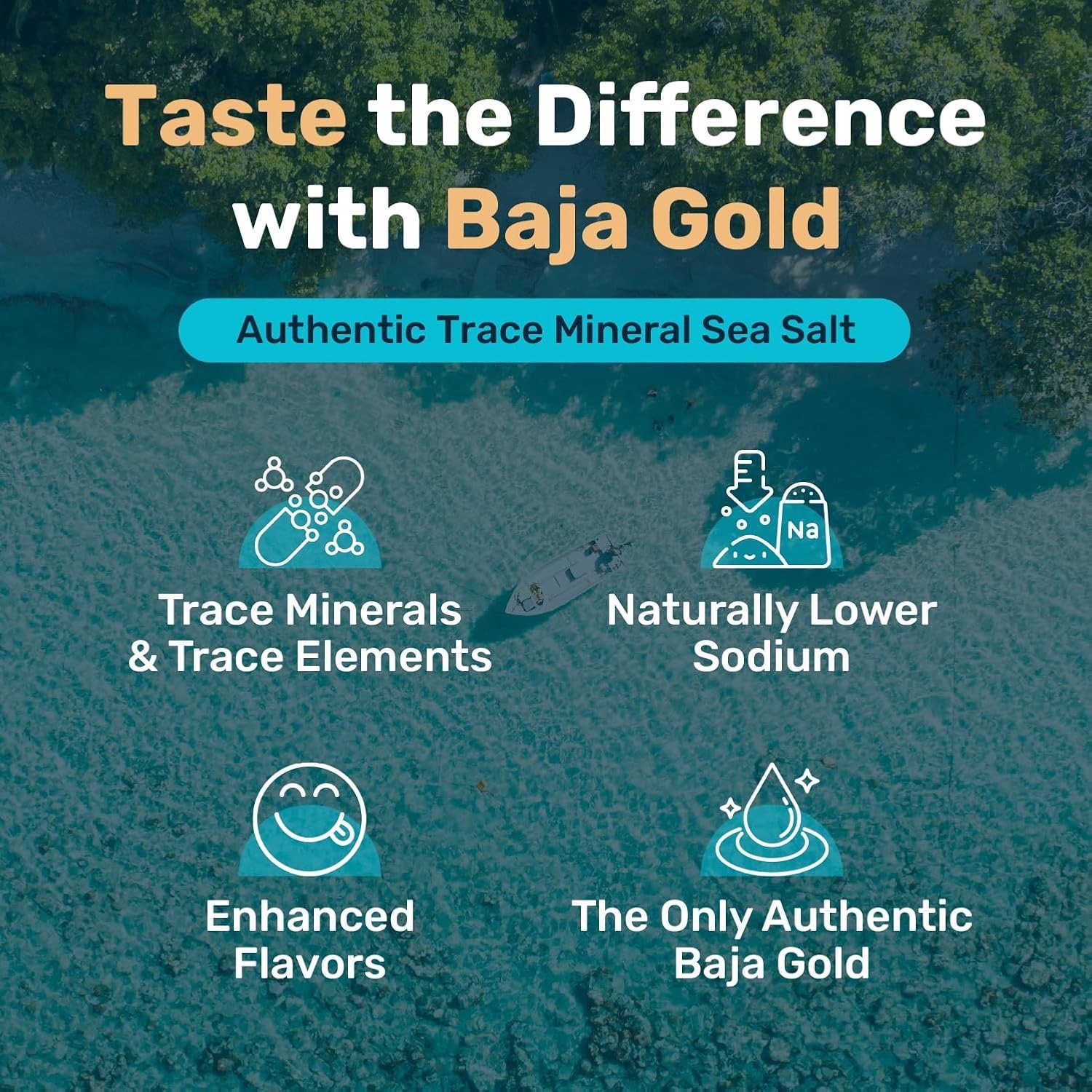 Baja Gold Signature Mineral Sea Salt – Recommended by Gary Brecka – Organic 5lb