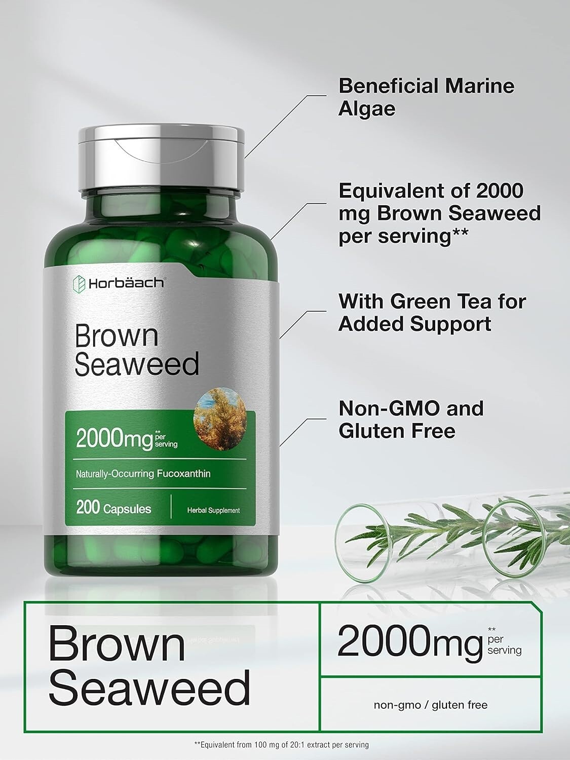 Brown Seaweed Extract 2000 Mg Fucoxanthin Supplement Marine Algae, 200 Capsules
