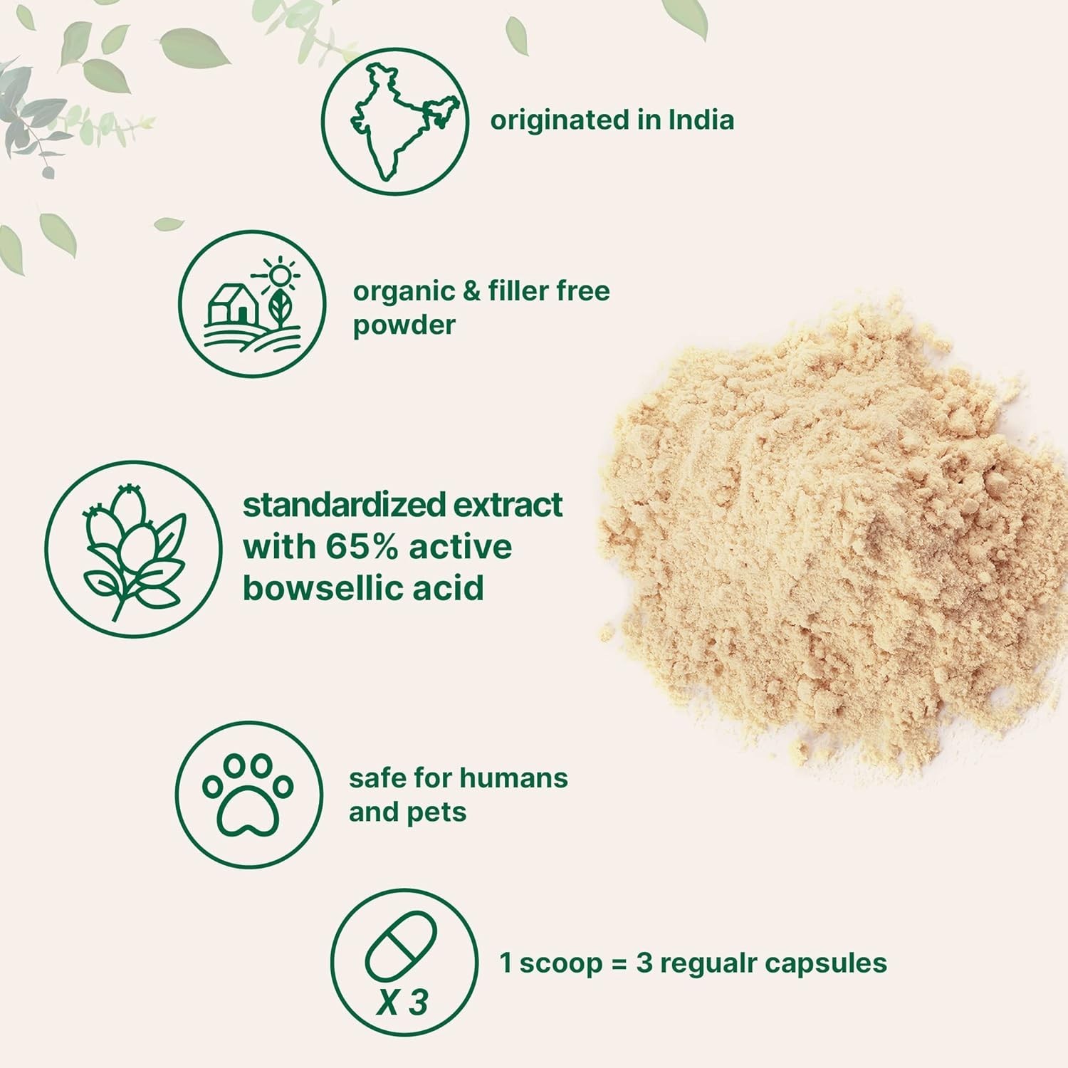 Micro Ingredients Organic Boswellia Powder, Extract Serrata 8 Ounce, Pure Boswel