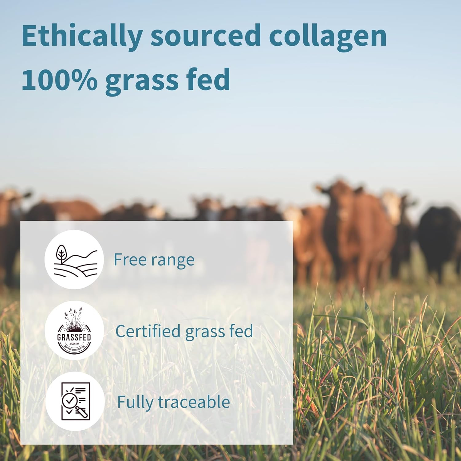 Igennus Free Range Grass Fed Hydrolyzed Bovine Collagen Peptides, Neutral Taste,