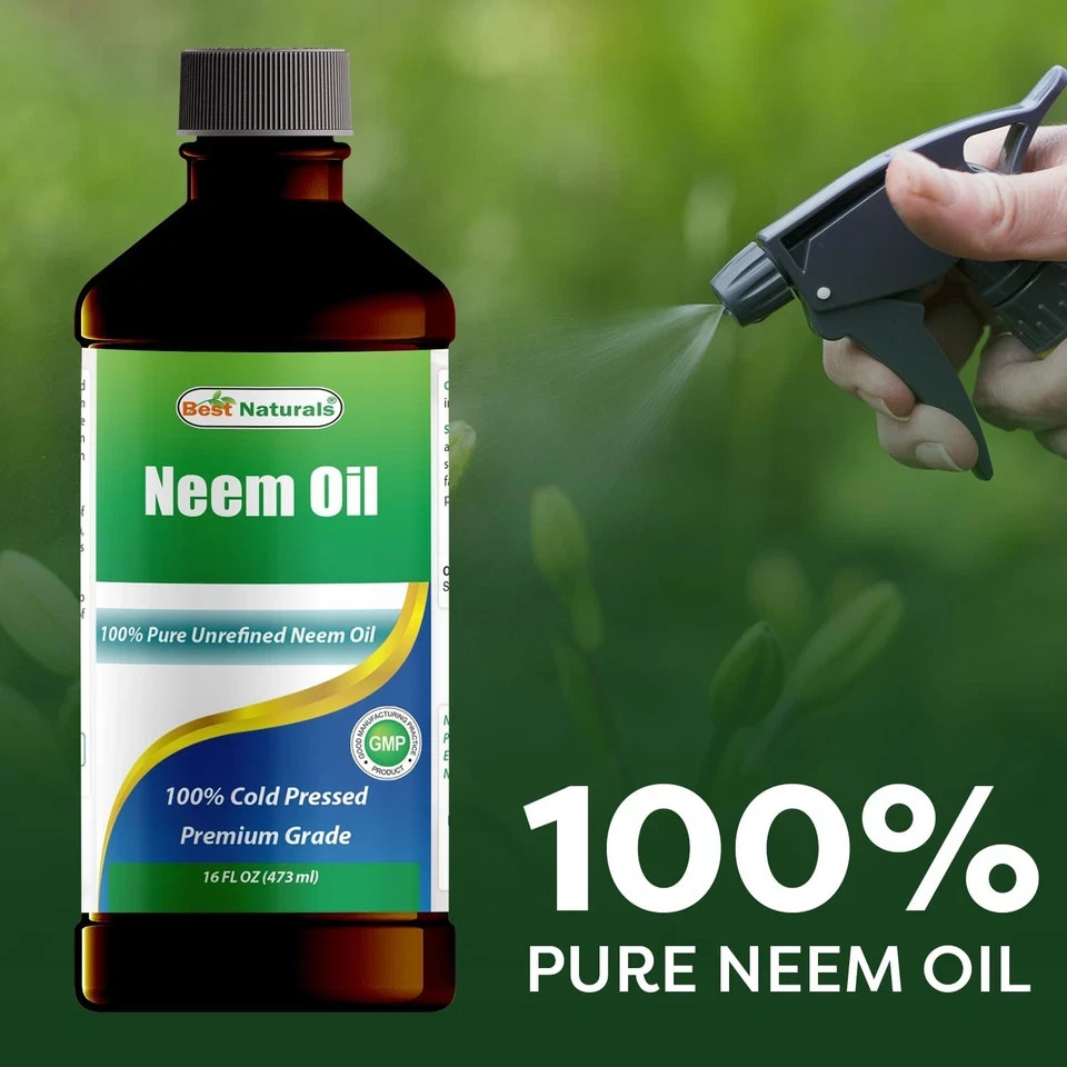 Pure Neem Oil, 100% Cold Pressed and Unrefined – 16 OZ (1 Bottle)- New