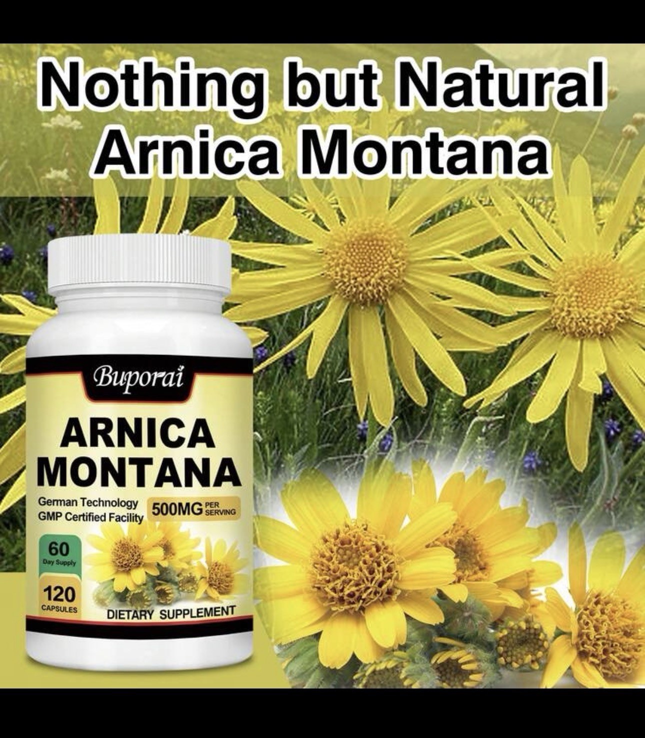 Buporai Arnica Montana 500mg For Muscle & Joint Health Ant-Anflammatory Support