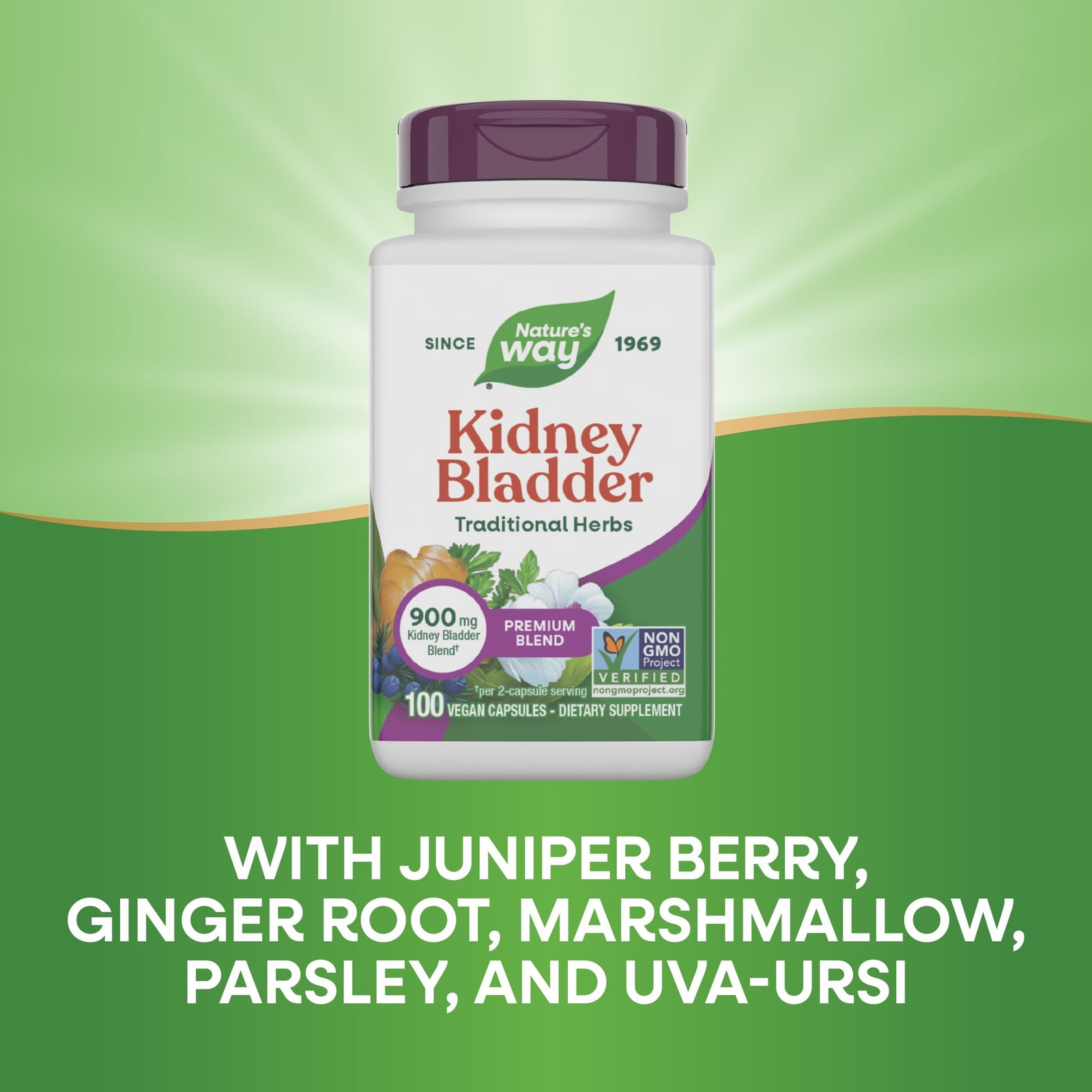 Nature’s Way Kidney Bladder Premium Blend, 900 mg per 100 Count (Pack of 1)