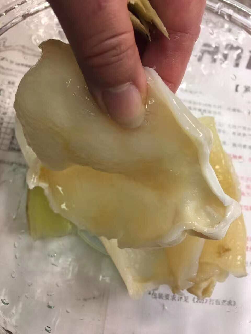 南美洲野生特大7头蝴蝶胶1LB/Bag XL Size Dried South American wild caught fish maw-U.S Seller