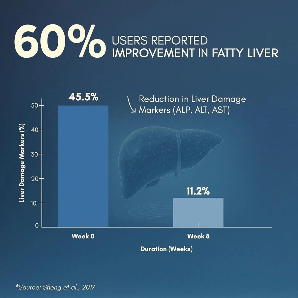Liver Detox Supplement | Milk Thistle with 80% Silymarin | With 9-Ingredient J84