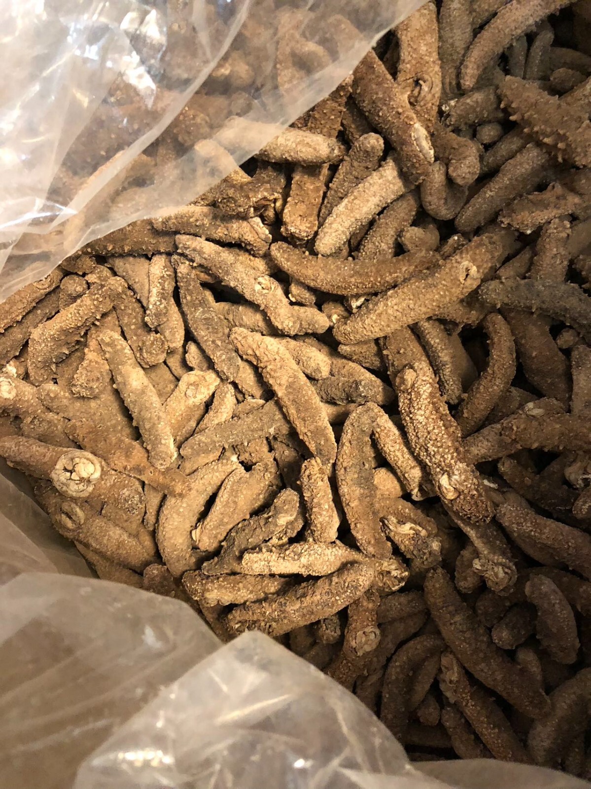 阿拉斯加红参(海参)Super 3A natural Sun Dried ALASKA Red Sea Cucumber(Size XL)1LB/Bag