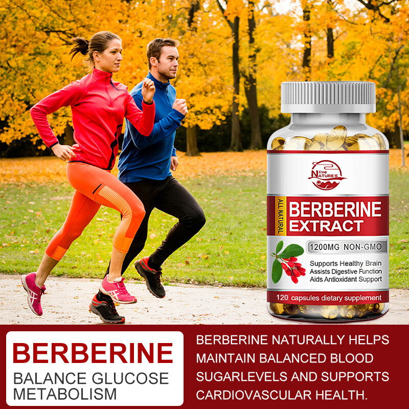 Berberine 1200mg – High Potency Berberine Capsules – 120PC – Blood Sugar Support