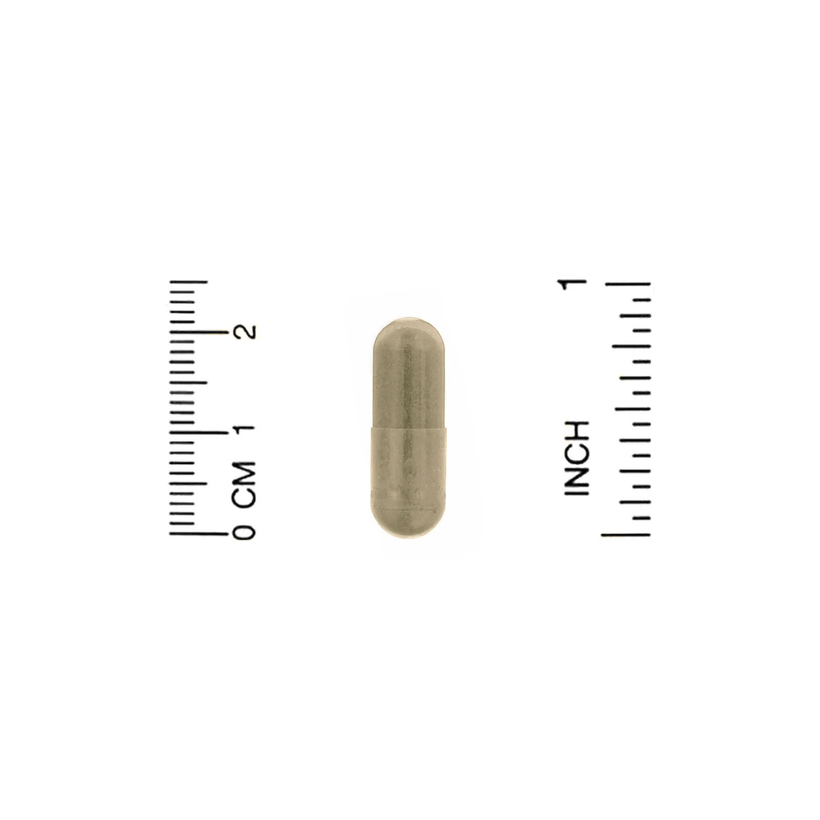 2 X Organic India, Neem, 90 Vegetarian Caps