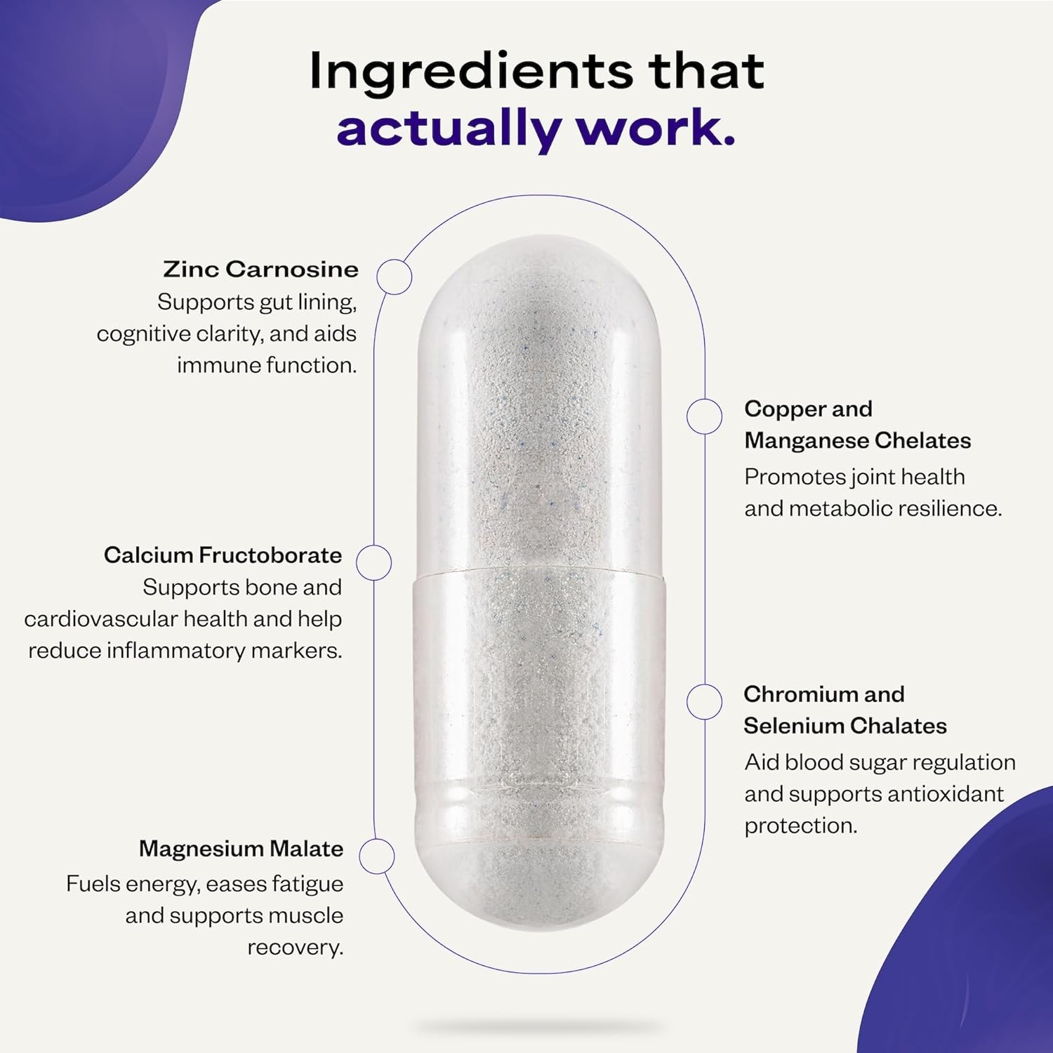Suppgrade Labs Minerals 101 90 Capsules Daily Essential Mineral Month Support