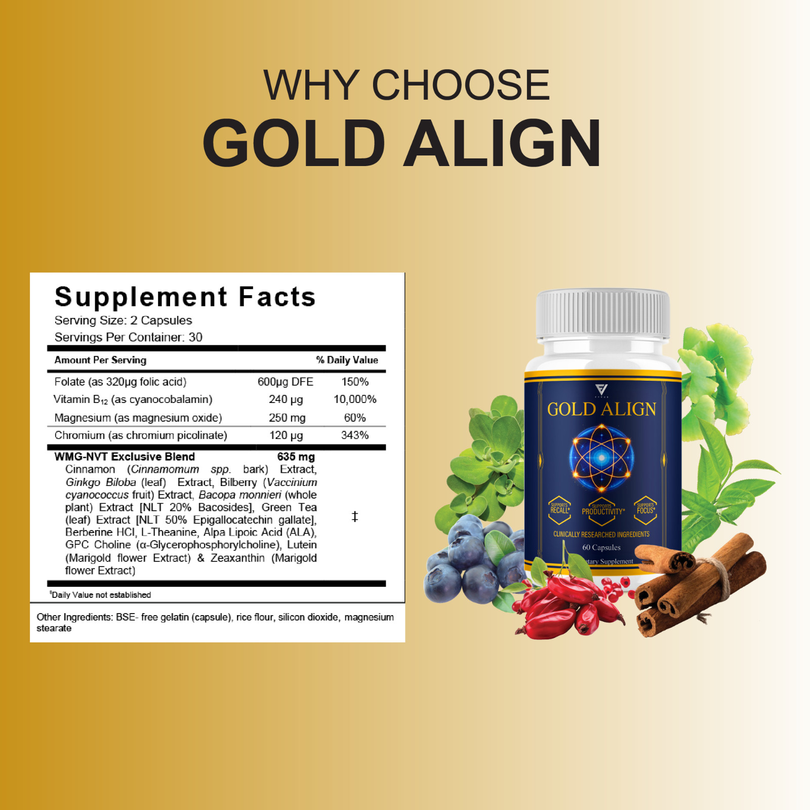 (3 Pack) Gold Align Advanced Brain Support, GoldAlign Supplement (180 Capsules)