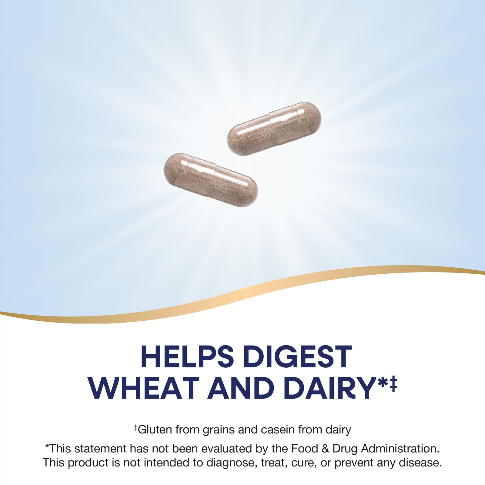 Enzymatic Therapy Gluten Defense, & Casein 120 Count (Pack of 1)