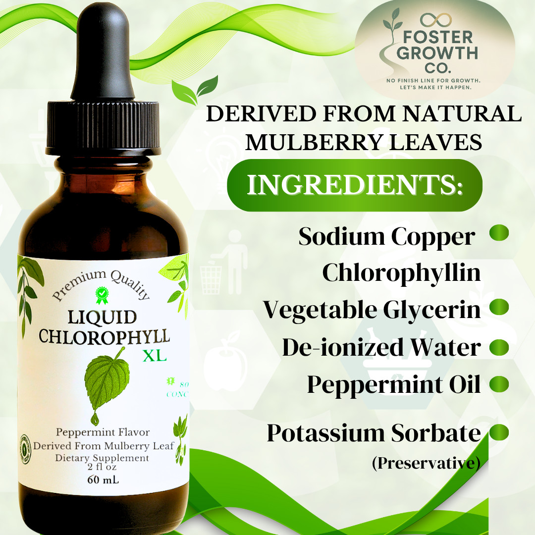 2 Pack Liquid Chlorophyll Drops XL Strength 2oz – Detox Cleanse Vegan 120 Day