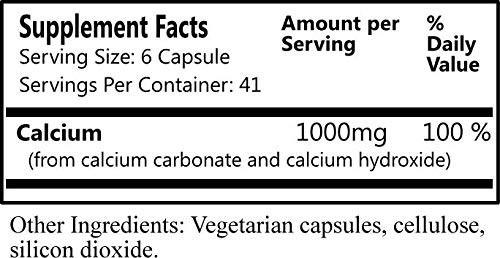 Calcium Carbonate & Hydroxide Supplement – Yeast-Free, Daily Calcium Boost