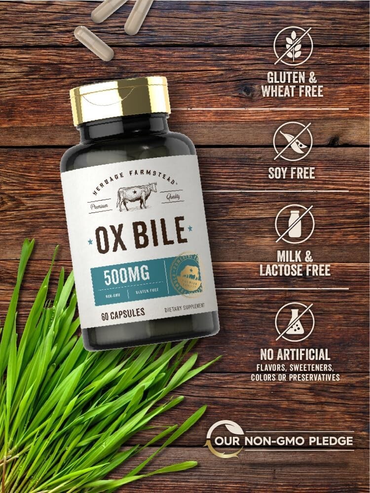 Ox Bile Supplement 500Mg 60 Capsules Digestive Enzyme Non-Gmo & Gluten Free by H