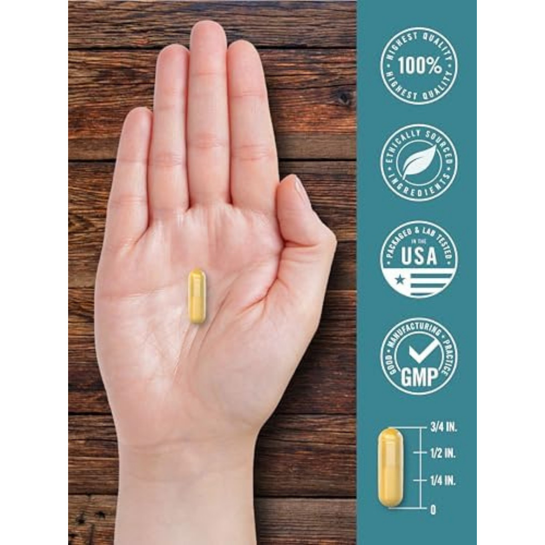Ox Bile Supplement 500Mg 60 Capsules Digestive Enzyme Non-Gmo & Gluten Free by H