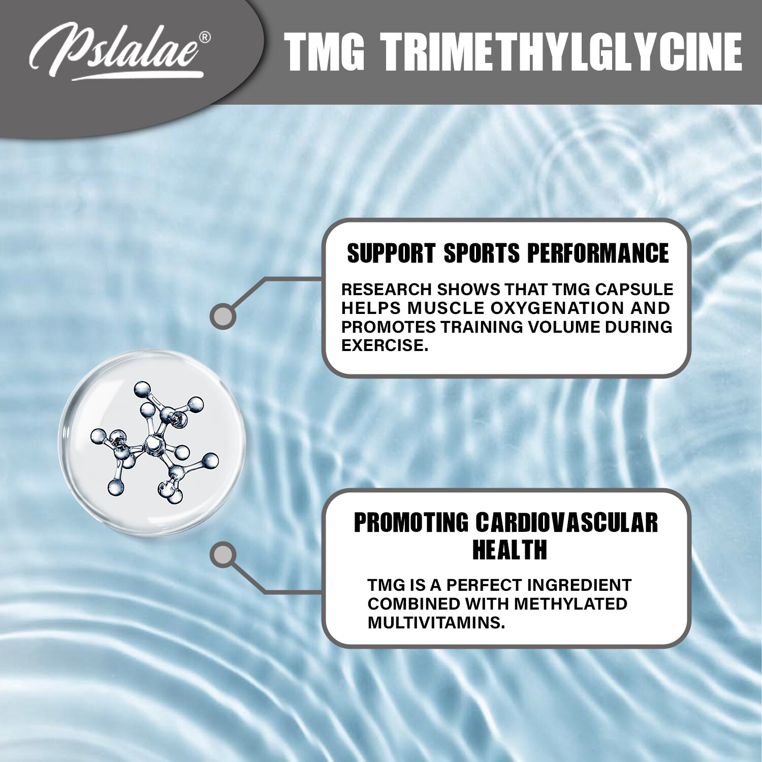 TMG Trimethylglycine – Nervous Cellular Health Growth, Cardiovascular Health