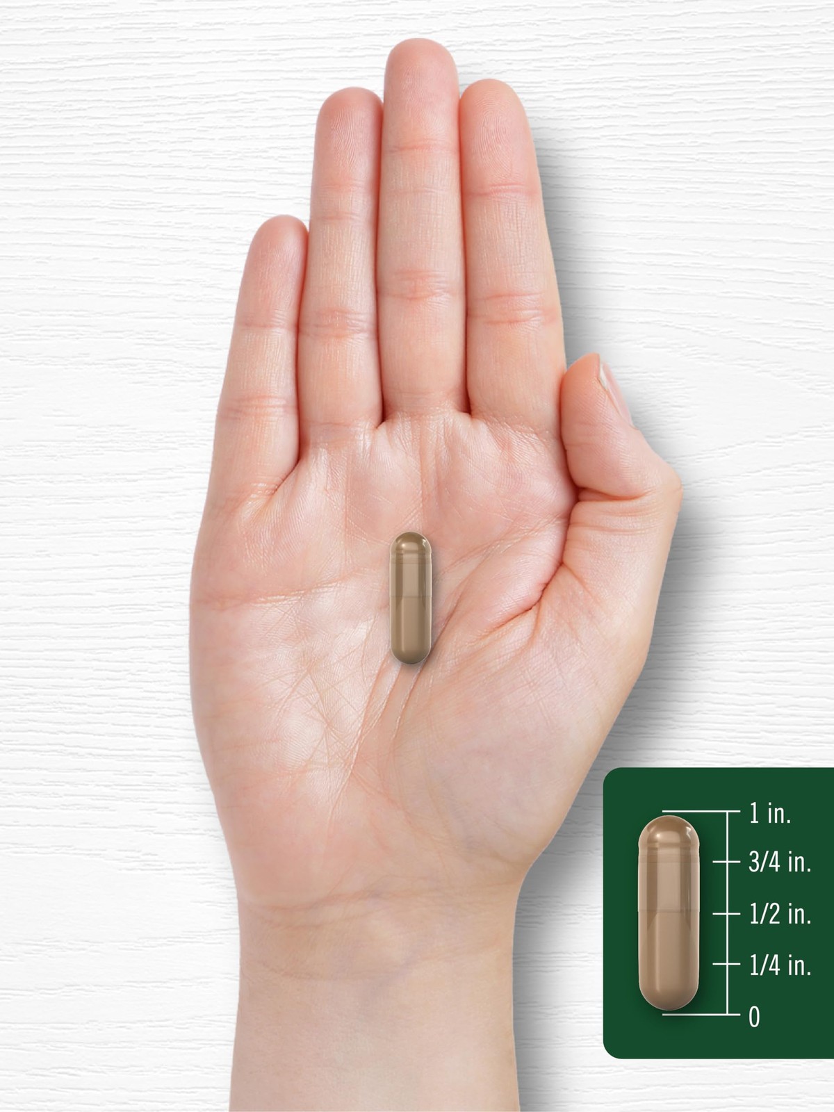 Carlyle Olive Leaf Extract 750 mg | 100 Capsules | with 100 Count (Pack of 1)