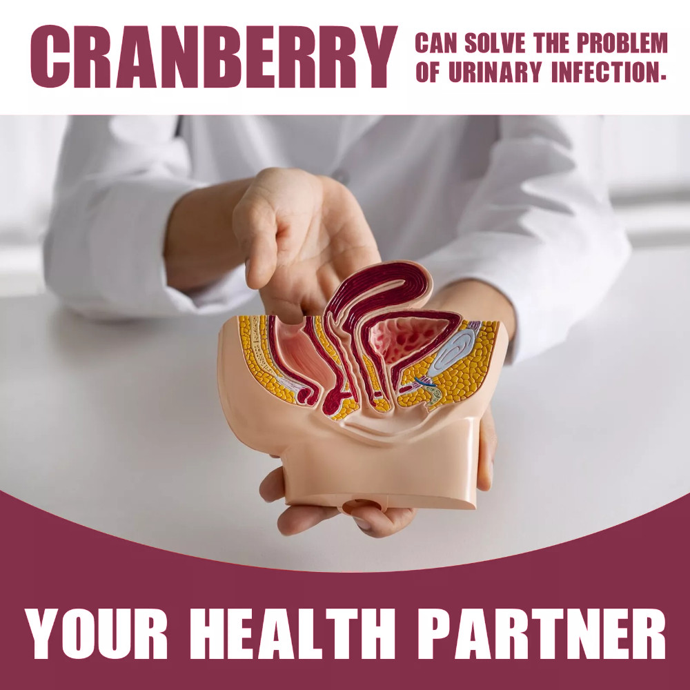 Cranberry Gummies Urinary Tract – UTI Cystitis, Supports System & Immune Health