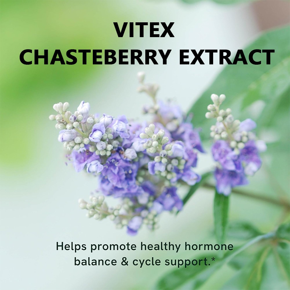 Vitex Fruit 650mg 30/60/120 Caps Traditional Support of Female Cycle