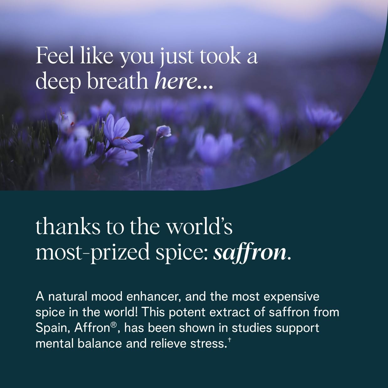 Ora Organic Stress Relief Supplement Supports Mood & Mental Focus Feel Cal…