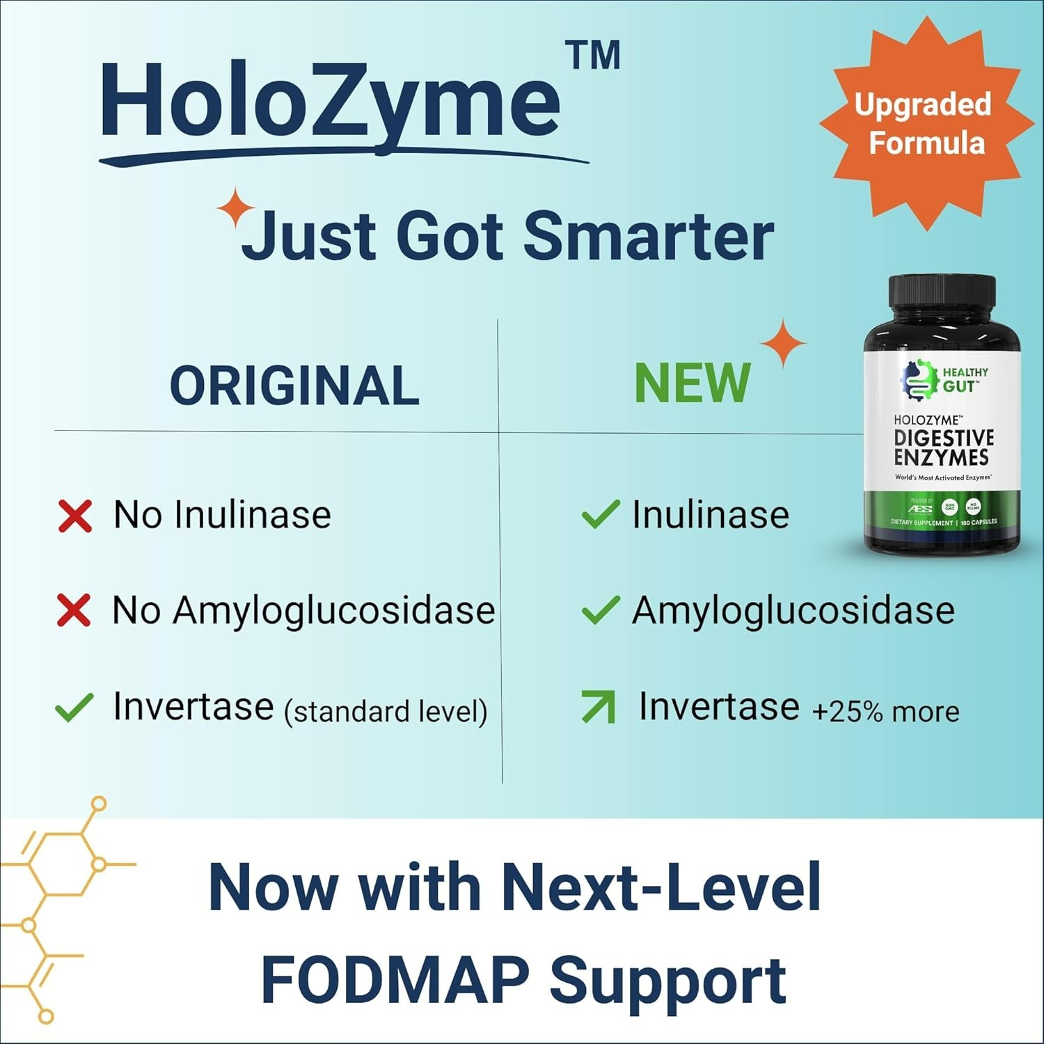 Holozyme Max Strength Digestive Enzymes | Prevents Bloating, Gas, & Indigestion