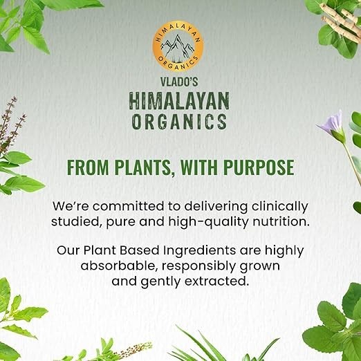Himalayan Organics Plant-Based Vitamin A 840Mg Supplement | 120 Veg Capsule