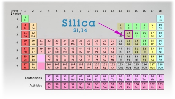 Silica 32oz. – Liquid Mineral