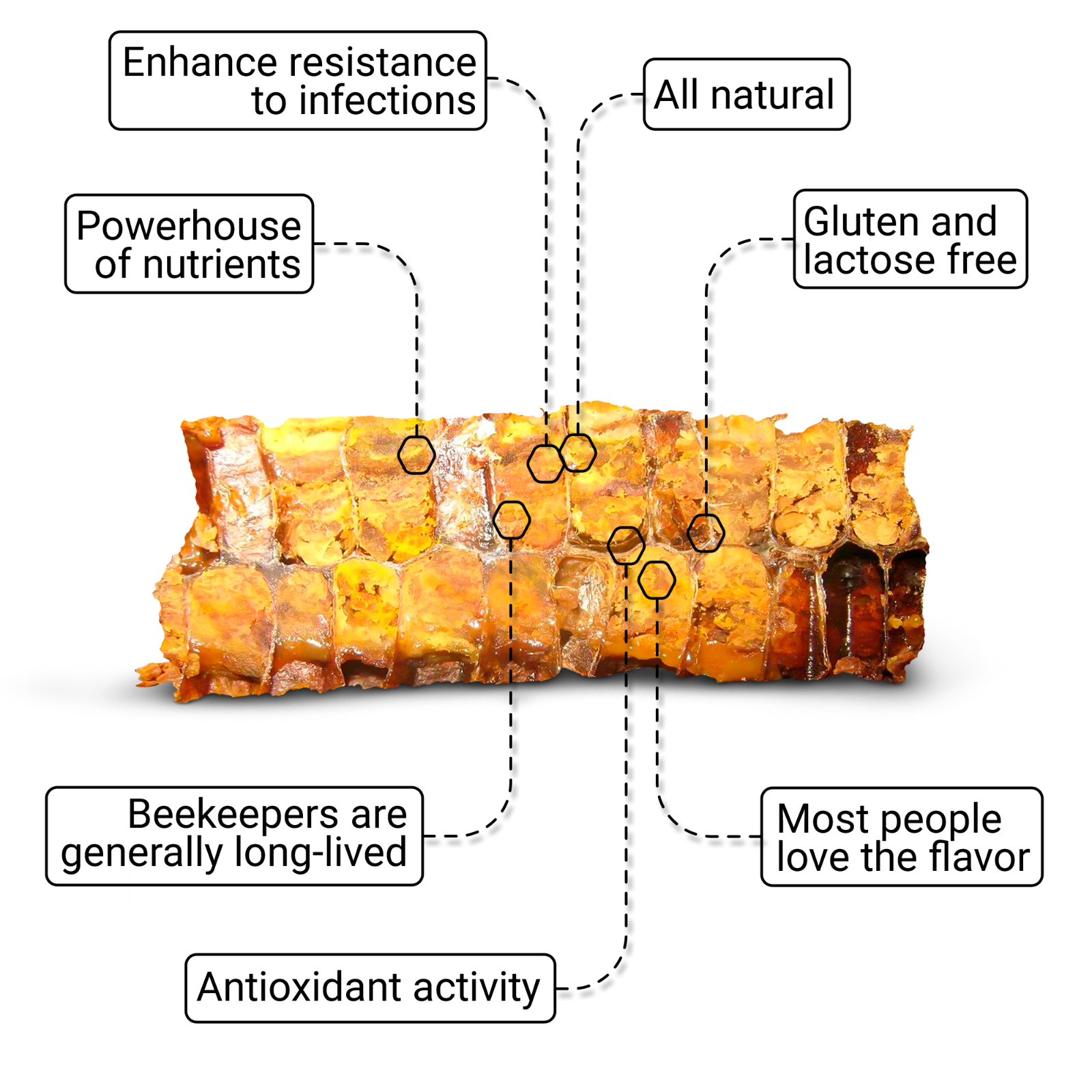 Bee Bread 4.3 oz / 120g Pure Fermented Bee Pollen, Organic Supplement, Raw Perga