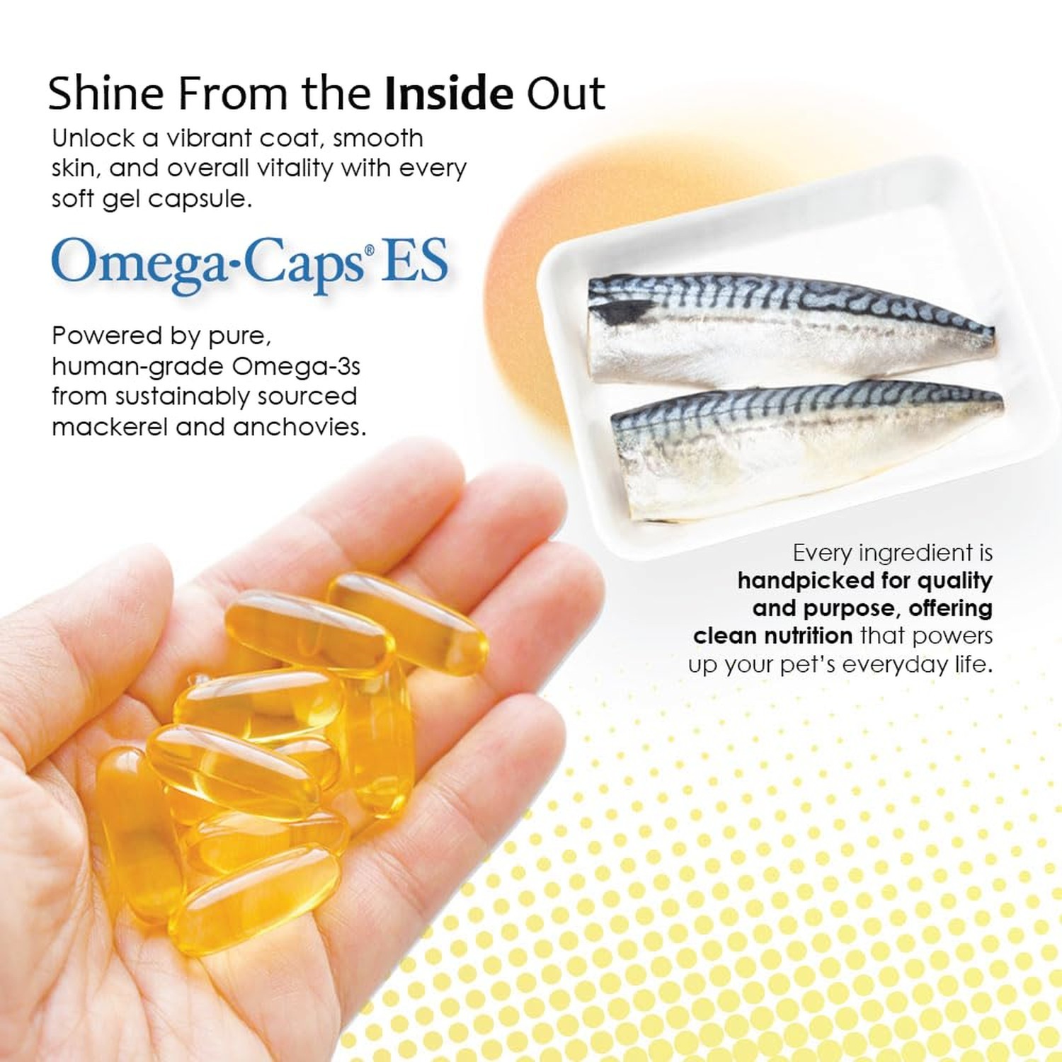 Omega-Caps ES for Large & Giant Dogs (250 Caps) 250 soft gels