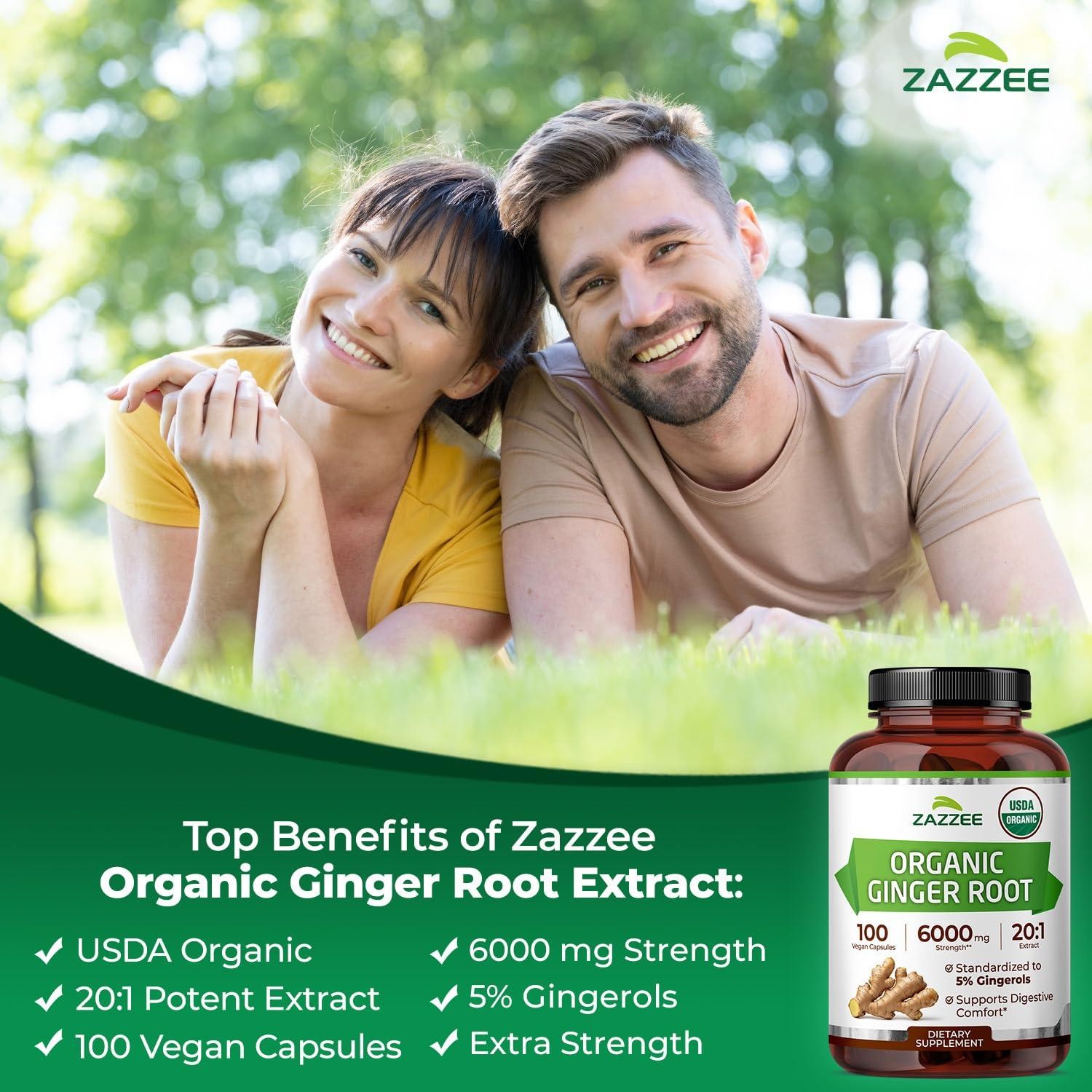 USDA Organic Ginger Root 20:1 Extract, 6000 mg Strength, 5% Gingerols