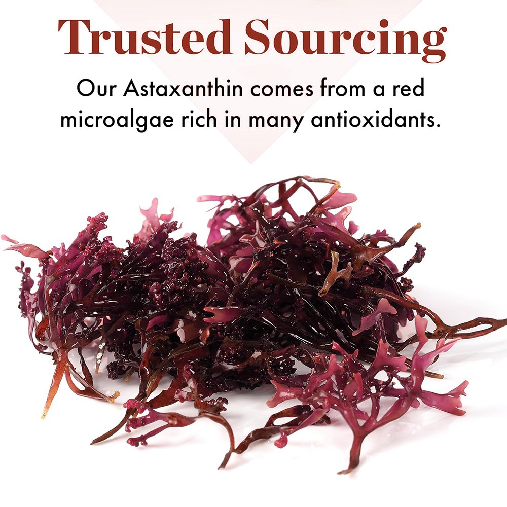 Triple Strength Astaxanthin 12mg from microalgae – 30/60/120 capsules