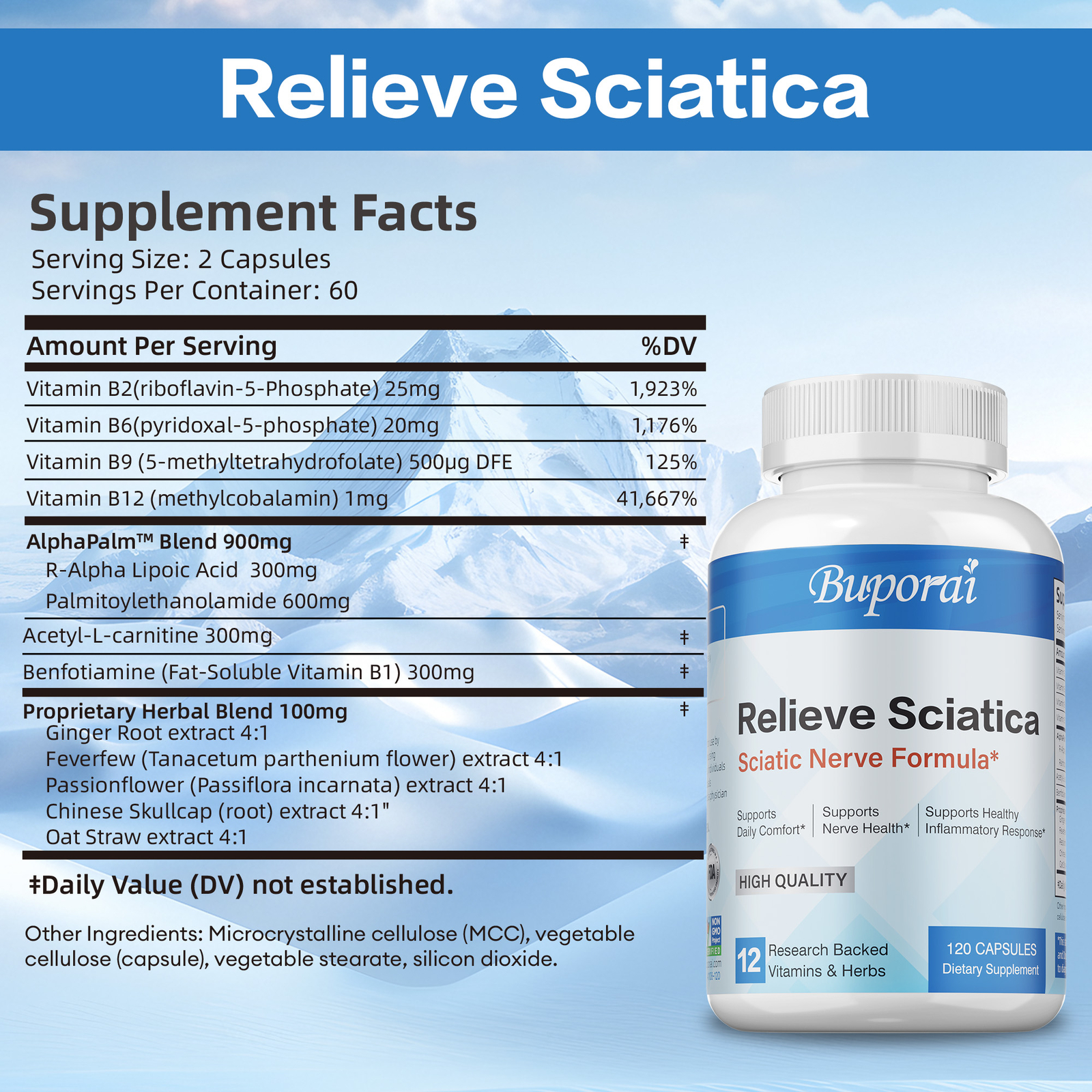 Relieve Sciatica – Nervous System Health and Relief Pain and Inflammation