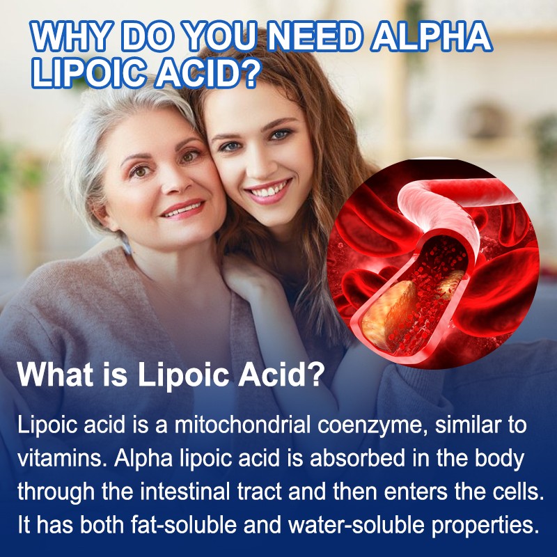 R-Lipoic Acid-Maintain Cellular Energy,Non Gmo Gluten Free 30/60/120 Capsules