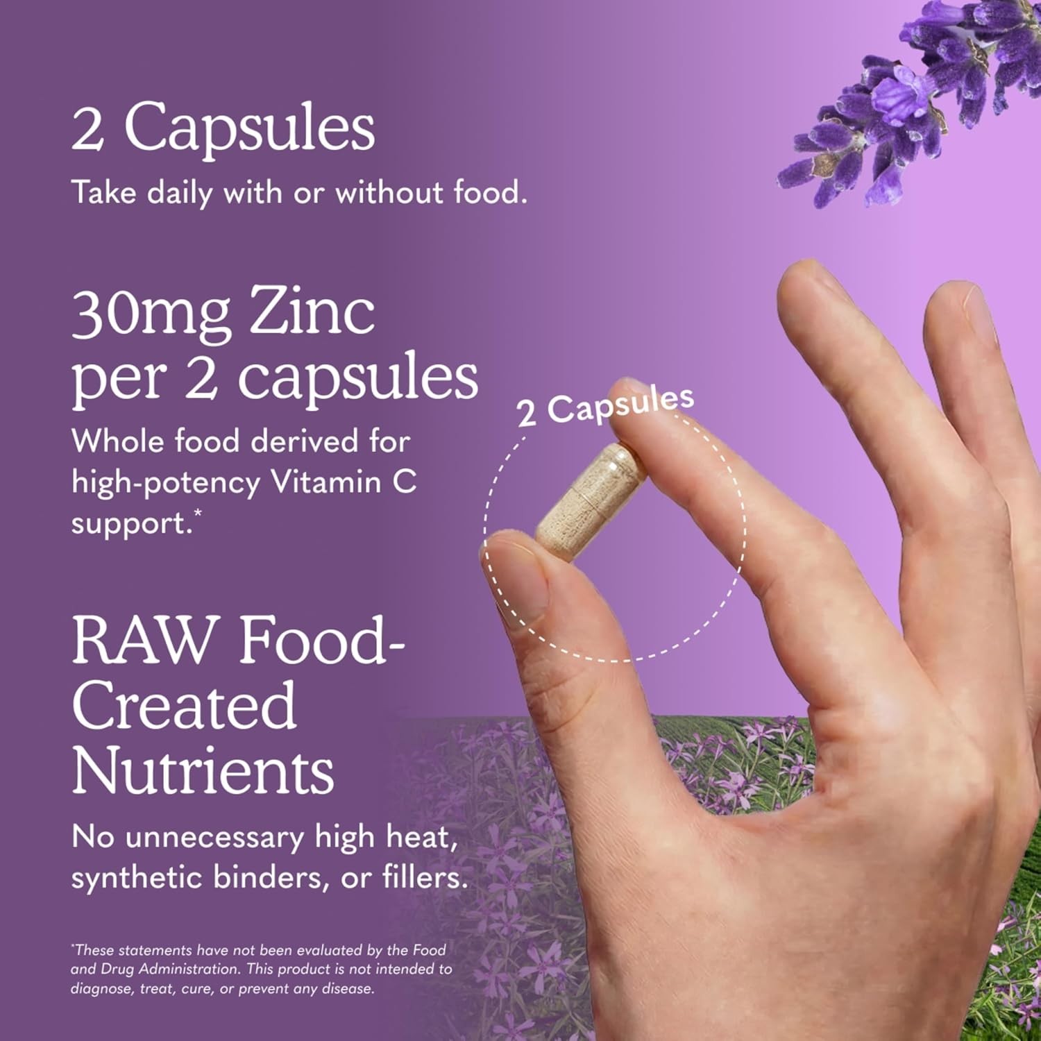Garden of Life Raw Zinc 30mg with Vitamin C – Whole Food Immune & Skin Supplemen