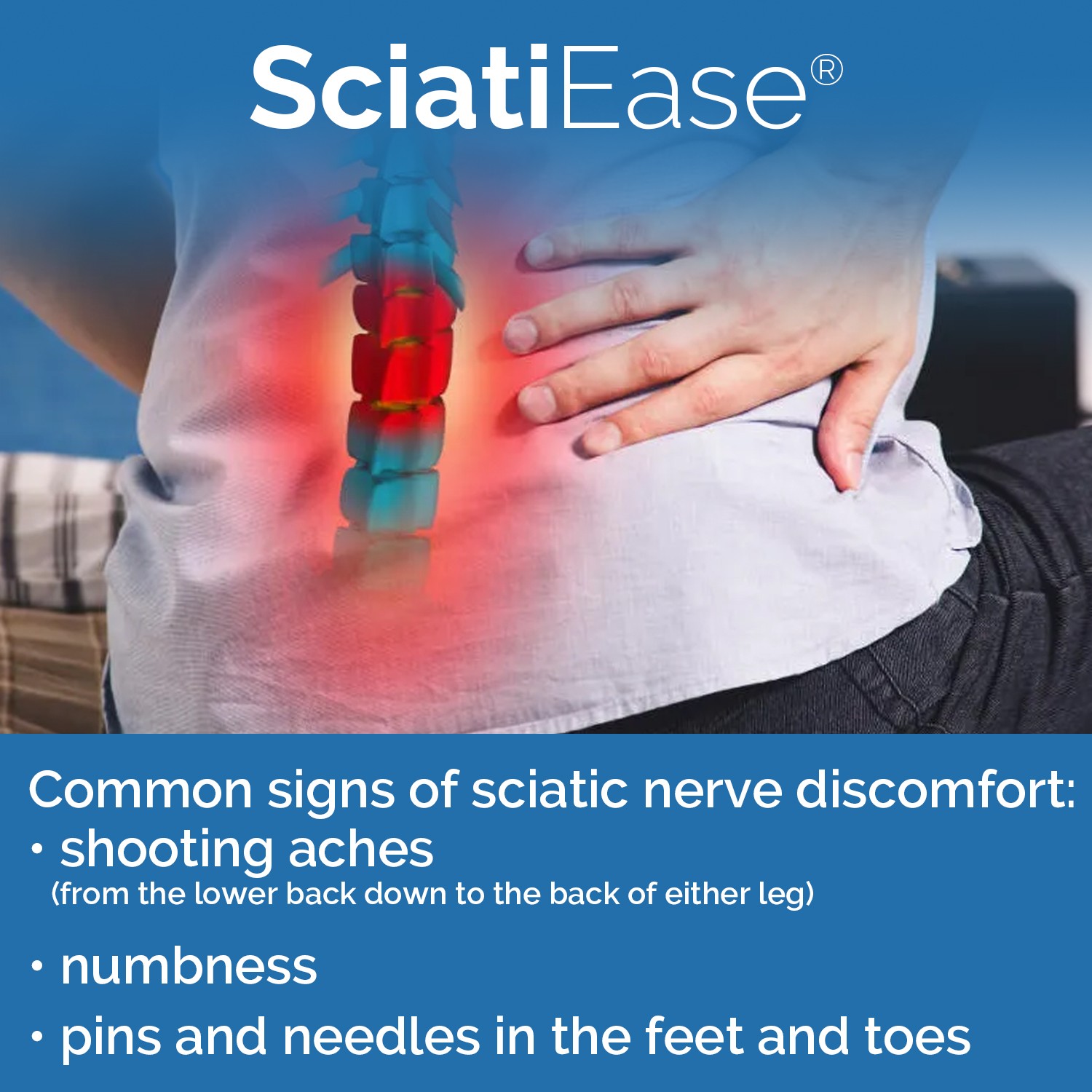 SciatiEase Labs Sciatic Nerve Formula- Build Muscle and Endurance, Improve Sleep