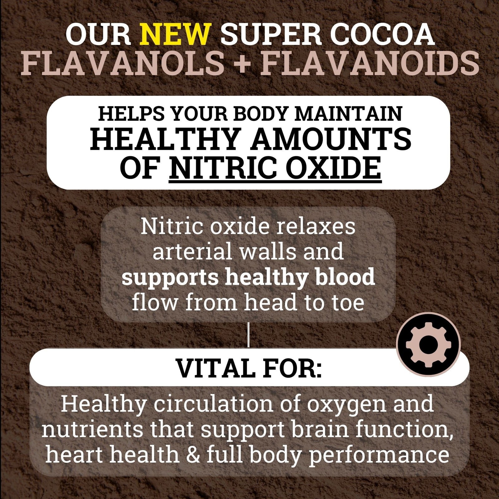 1 PACK – Black Forest High Flavanol Cocoa Powder Flavonoids Supplement 1200 mg