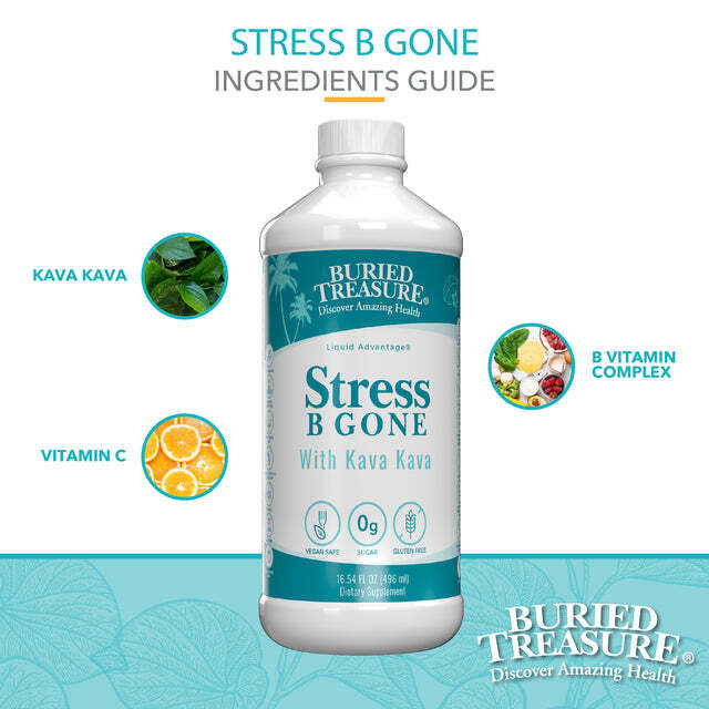 Buried Treasure Stress B Gone 16 fl oz