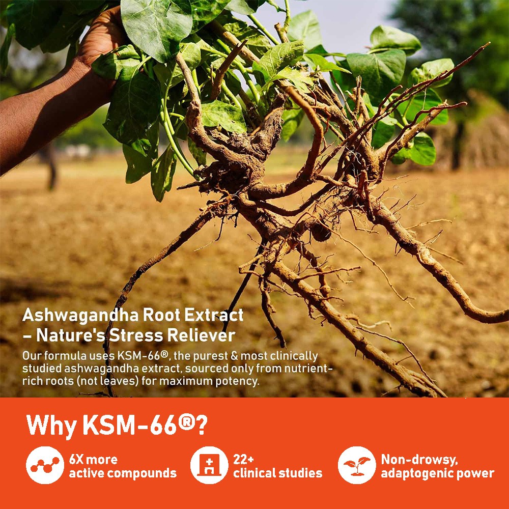 Amer Don KSM-66 Ashwagandha Root Extract 600mg, 60 Vegetarian Caps