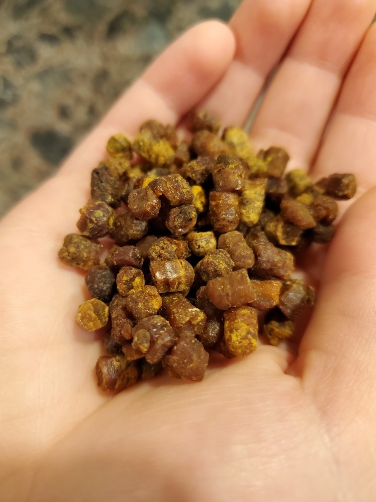 Bee Bread 4.3 oz / 120g Pure Fermented Bee Pollen, Organic 2025 Harvest