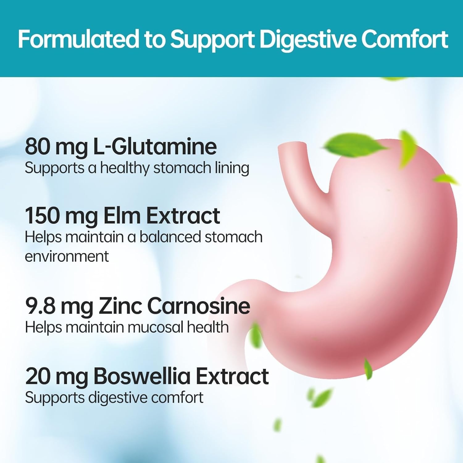 5 in 1 High Potency Alternative Treatment for H. Pylori – 1 per Day – Relieve Ac