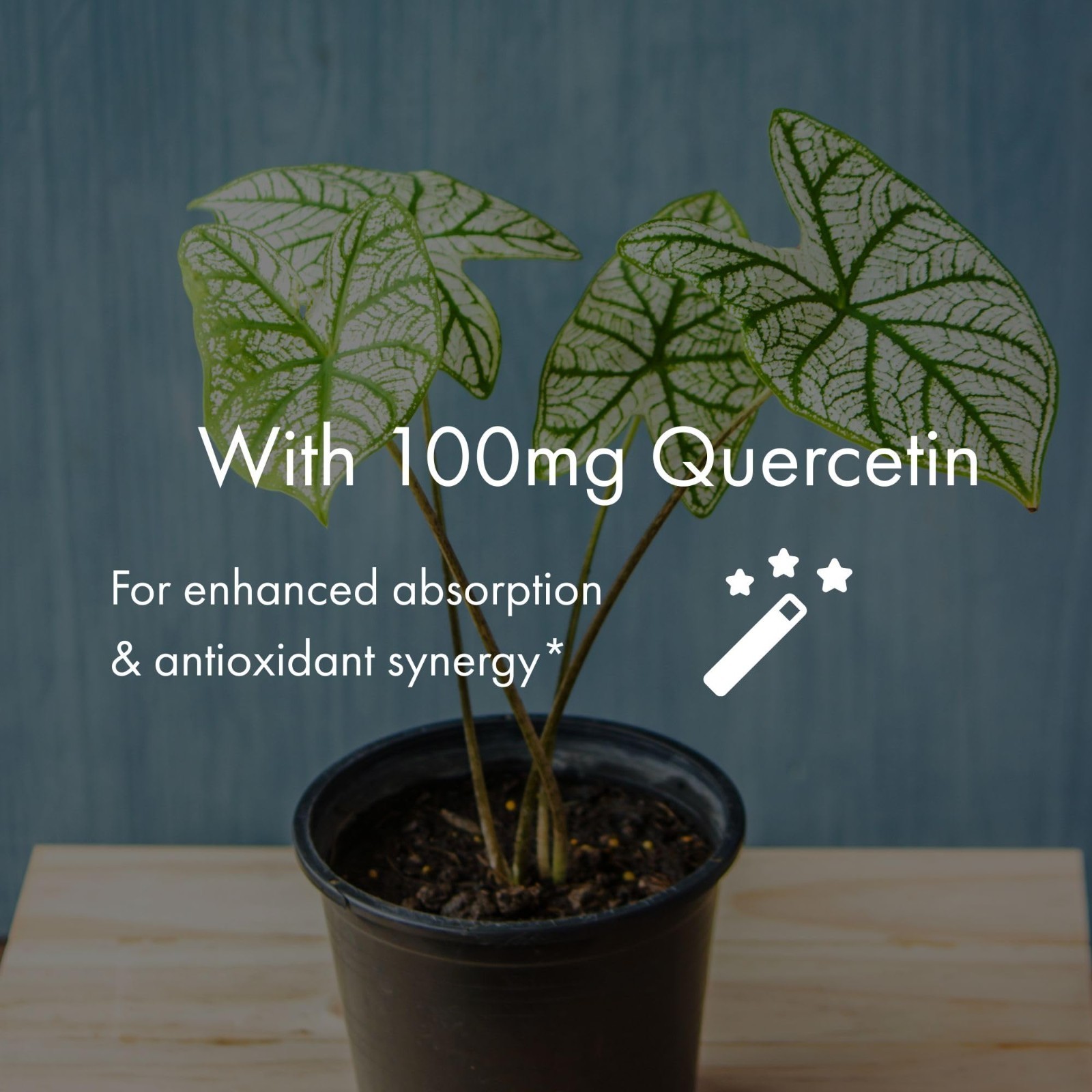 Organic Resveratrol 250mg + Quercetin – Cardiovascular Support, Antioxidant, Veg